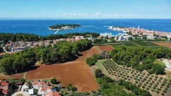 Haus in einer ruhigen Wohngegend in Poreč 