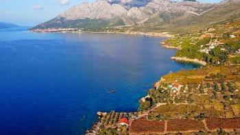 Combinaison de terrain à bâtir et agricole à Peljesac- 1ère ligne à la mer 