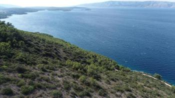 Agro land plot for sale in Jelsa area, on Hvar island - 1st line to the sea 