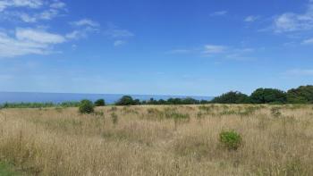 Land plot for sale of T2 purpose in Savudrija, Umag, 200m from the sea 