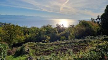 Magnificent building land 17500m2 with sea view tourist area for hotel / boutique hotel / motel / apartments / villas / houses / house for rent - vacation with pool in Icici/Poljane 