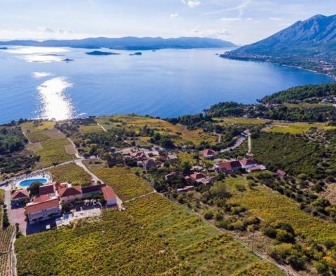 Modern wedding hotel in Croatia, Peljesac peninsula with vineyards around! - pic 3