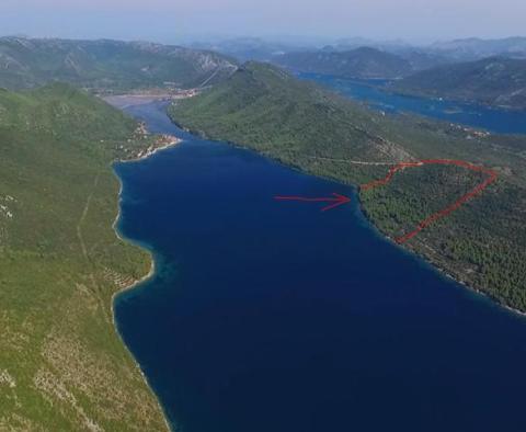 Unique farm land on Peljesac, over 21 hectares, 1st row to the sea - pic 9
