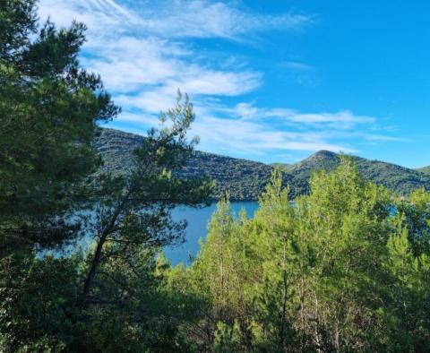 Unique farm land on Peljesac, over 21 hectares, 1st row to the sea - pic 3