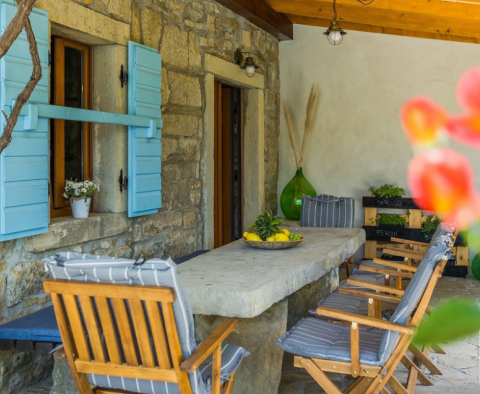 Istrian style villa in Buzet, with swimming pool - pic 32