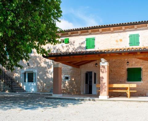 Beautiful stone villa with a swimming pool in Zminj! - pic 4