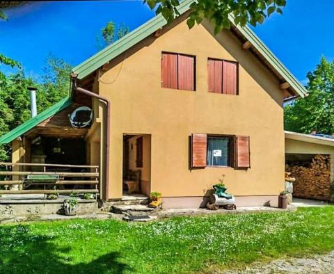 Schönes Haus zum Verkauf in Zelin Crnoluški, Delnice - foto 3