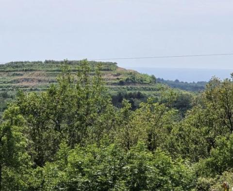 Městský pozemek na prodej v Buje, pro 3 luxusní vily, s nádherným výhledem na moře - pic 4