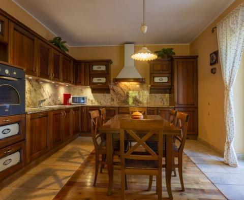 Magnificent luxurious villa in Rakalj area, on 4136 sq.m. of land - pic 17