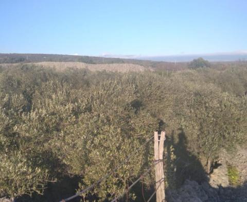 Residential construction land plot 700 meters from the sea, with sea views on Krk island - pic 4