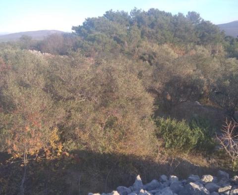 Residential construction land plot 700 meters from the sea, with sea views on Krk island - pic 5