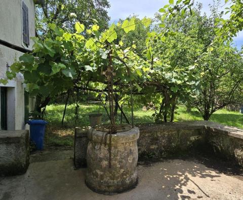 Great investment property in Svetveincenat - stone house with a spacious garden - pic 2