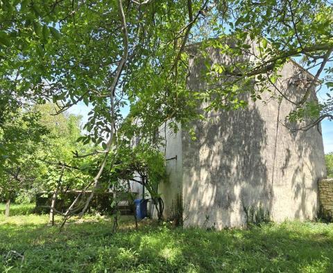 Great investment property in Svetveincenat - stone house with a spacious garden - pic 6