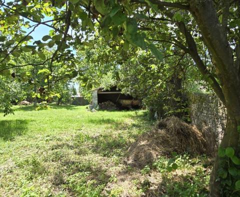 Great investment property in Svetveincenat - stone house with a spacious garden - pic 18