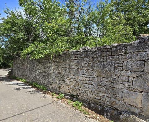 Great investment property in Svetveincenat - stone house with a spacious garden - pic 29