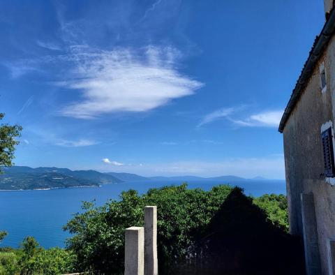 Investissement parfait à Brsec - maison individuelle à adapter avec vue mer - pic 5