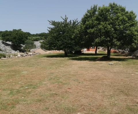 Olajfaliget Krk-n gazdasági épülettel - pic 6