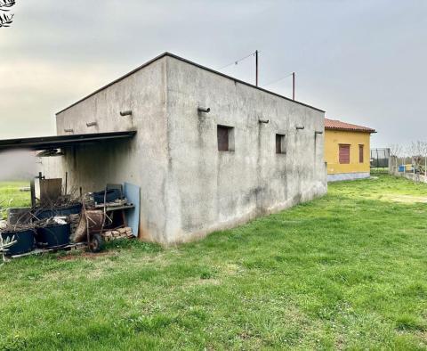 Bungalow in der Gegend von Umag, ca. 1 km vom Meer entfernt - foto 5