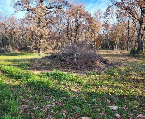 Land plot Valica, Umag, agro + urban parts in combination - pic 2