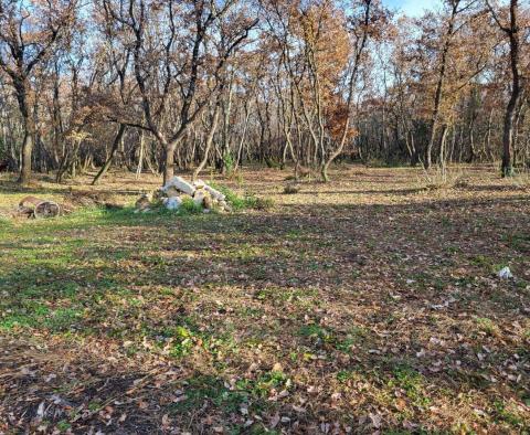 Land plot Valica, Umag, agro + urban parts in combination - pic 4