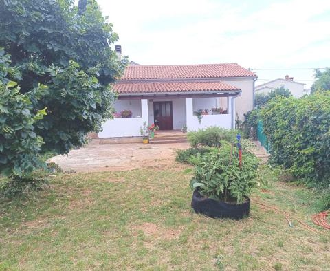 House in Valtura, Ližnjan, 2 km from the sea - pic 3