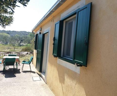 Großes Ackerland mit Olivenhain in Splitska, Brac - foto 8