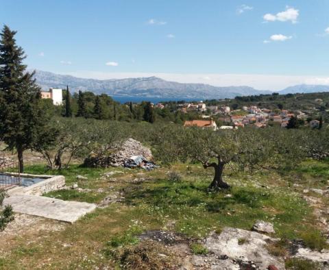 Großes Ackerland mit Olivenhain in Splitska, Brac - foto 10