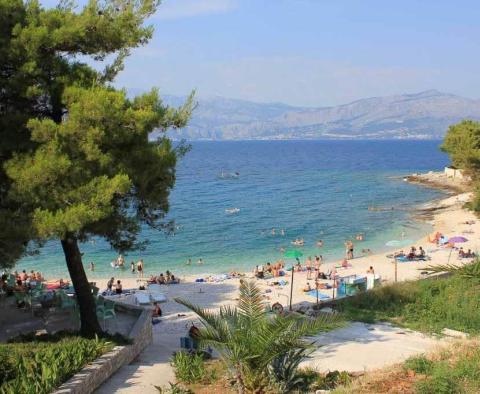 Großes Ackerland mit Olivenhain in Splitska, Brac - foto 3