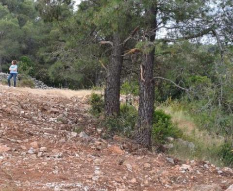 Městský pozemek 80 m od moře na ostrově Šolta! - pic 14