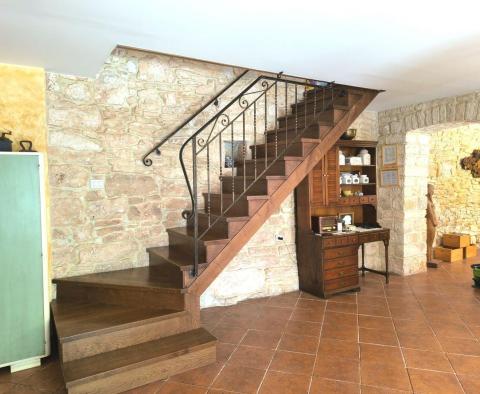 Rustic villa in Butkovići, Svetvinčenat - pic 27