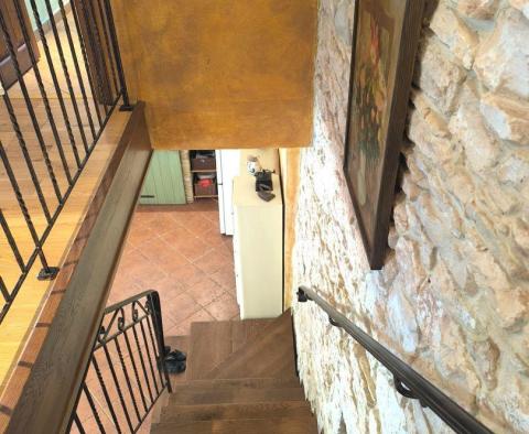 Rustic villa in Butkovići, Svetvinčenat - pic 28