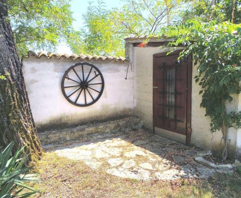 Rustic villa in Butkovići, Svetvinčenat - pic 47