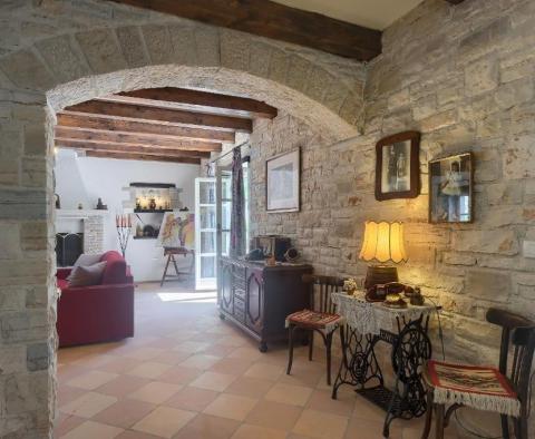 A beautiful stone villa for sale with a swimming pool in Tinjan - pic 5