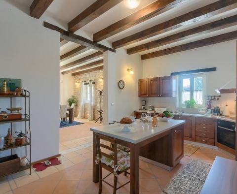 A beautiful stone villa for sale with a swimming pool in Tinjan - pic 10