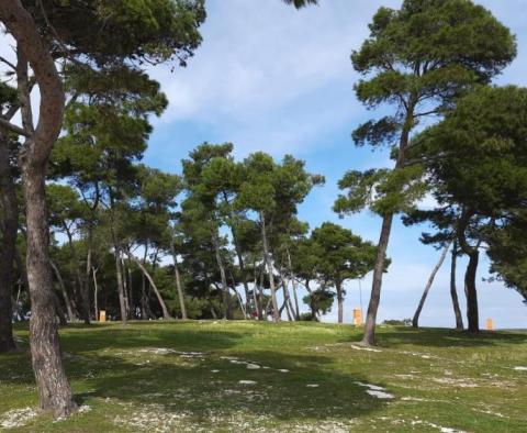 Un hôtel unique en bord de mer en première ligne de mer à Medulin ! - pic 23