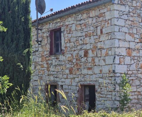 Land complex of 138 800 sq.m. in Rovinj area with impressive antiquity, 5 km from the sea - pic 4