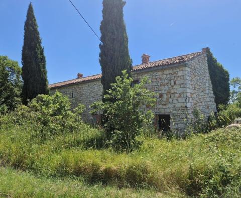 Land complex of 138 800 sq.m. in Rovinj area with impressive antiquity, 5 km from the sea - pic 5