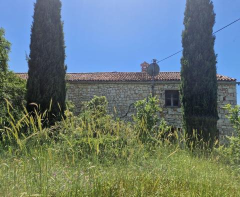 Land complex of 138 800 sq.m. in Rovinj area with impressive antiquity, 5 km from the sea - pic 6
