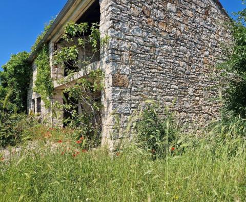 Land complex of 138 800 sq.m. in Rovinj area with impressive antiquity, 5 km from the sea - pic 9