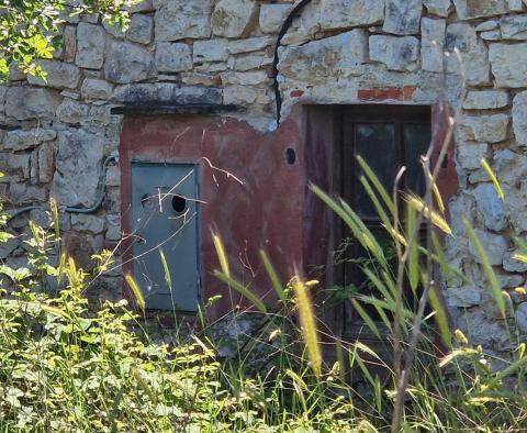 Land complex of 138 800 sq.m. in Rovinj area with impressive antiquity, 5 km from the sea - pic 20