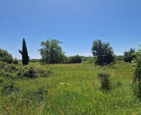 Land complex of 138 800 sq.m. in Rovinj area with impressive antiquity, 5 km from the sea - pic 22