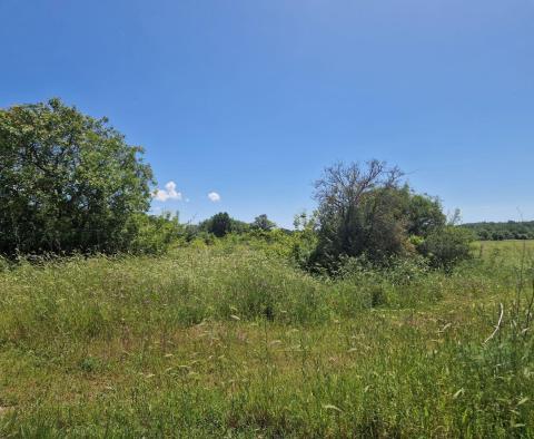 Land complex of 138 800 sq.m. in Rovinj area with impressive antiquity, 5 km from the sea - pic 23