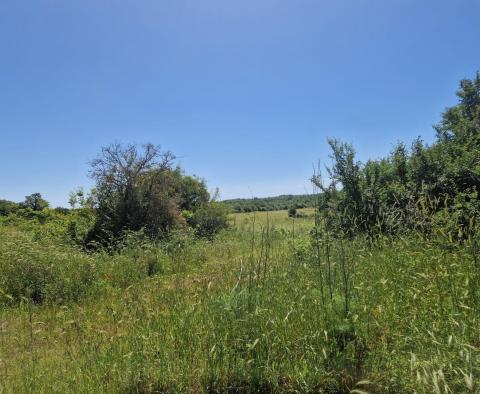 Land complex of 138 800 sq.m. in Rovinj area with impressive antiquity, 5 km from the sea - pic 24