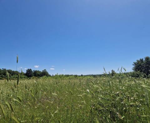 Land complex of 138 800 sq.m. in Rovinj area with impressive antiquity, 5 km from the sea - pic 27