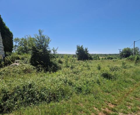 Land complex of 138 800 sq.m. in Rovinj area with impressive antiquity, 5 km from the sea - pic 31