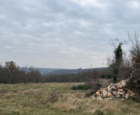 Land in Brtonigla, over 5 hectares - pic 3
