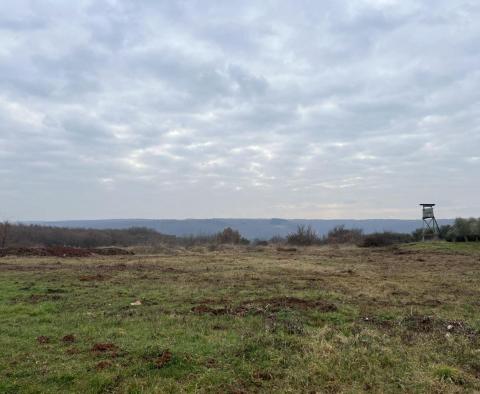 Land in Brtonigla, over 5 hectares - pic 4
