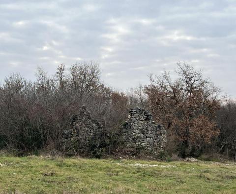 Land in Brtonigla, over 5 hectares - pic 5