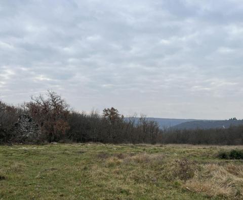 Land in Brtonigla, over 5 hectares - pic 7
