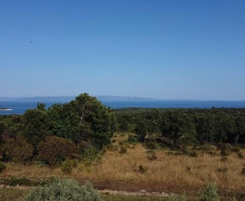 Fantastic estate in Peruški, Marčana, for sale - pic 6